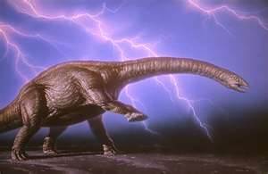 bronto