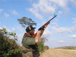 There are 5 birds in a tree. A hunter shoots 2 of them dead. How many birds are left?