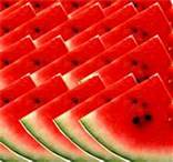 Watermelon is a kind of _______.
