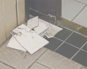 Trying to finish fixing the bathroom is ______. We can't do it... The <u>few</u> <u>tiles</u> we have left are broken.