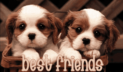 Topic - A Good Friend Describe one of your best friends.  You should say: -how you met each other -how long you have known each other -how your spent time together  and explain why you think he/she is your best friend. <a href='#' class='timer'>CLICK HERE to answer question</a>