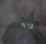 How did they kill the witch in the Wizard of Oz?