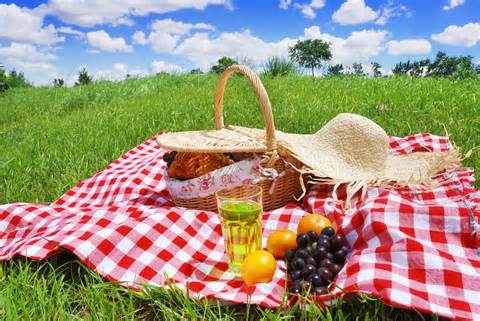 Topic - Picnic Describe a picnic you have been on.  You should say: -Where you had the picnic -What the day was like -What kind of food you prepared or ate -Who you had the picnic with  And explain how you felt that day. <a href='#' class='timer'>CLICK HERE to answer question</a>