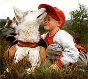 Early humans _____ the wolves that were friendlier around humans.