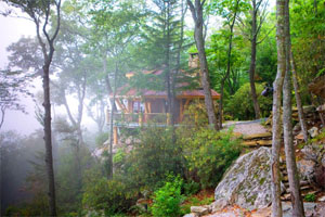 People from all over the world are sent by their doctors to breathe the pure, ________ air in this mountain region.