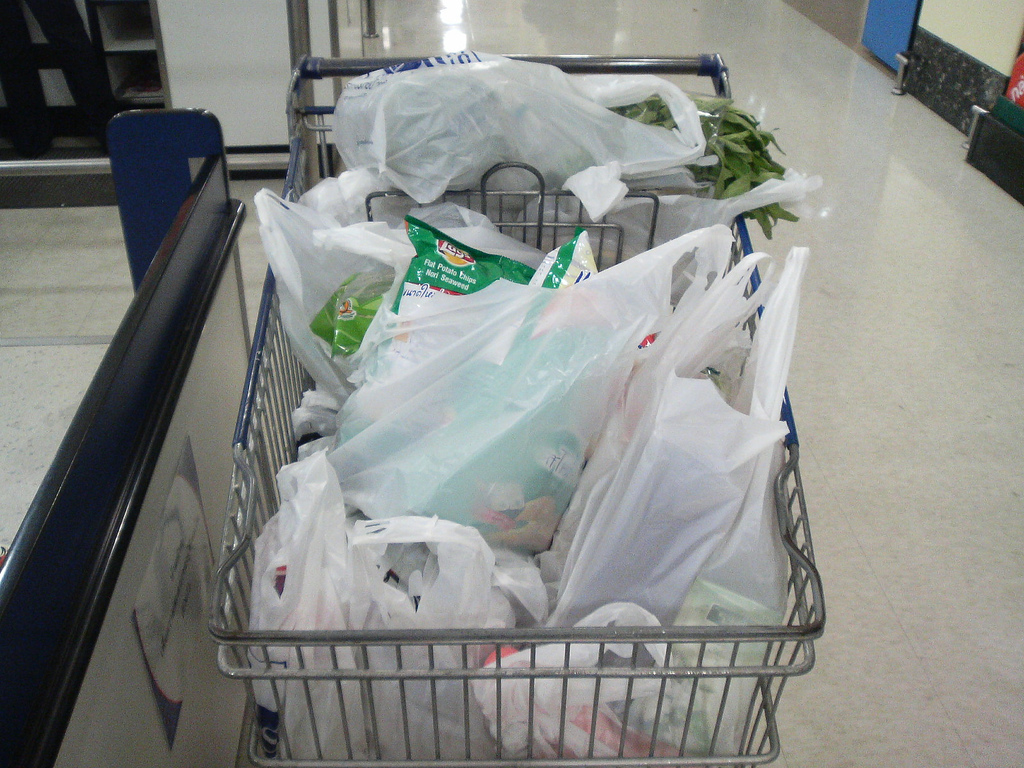 Plastic bags are ____ symbols of consumer society; they are found wherever you travel.